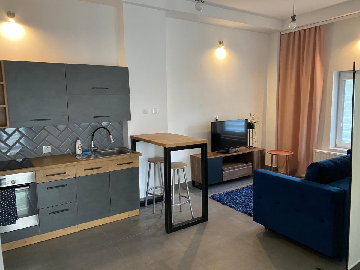 Apartamenty Pod Wierzbami Dwikozy Экстерьер фото